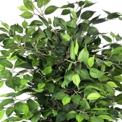Ficusbaum künstlich 180 cm