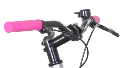 Fixie Bike 54 cm URBAN silber/pink | GONSER.CH