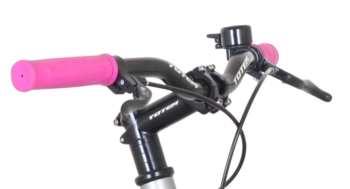 Fixie Bike 54 cm URBAN silber/pink | GONSER.CH