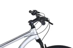 Fully Mountainbike 29