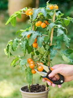Gartenschere Blumenschere 15 cm