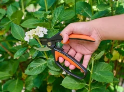 Gartenschere Bypass mit Sicherheitsschloss