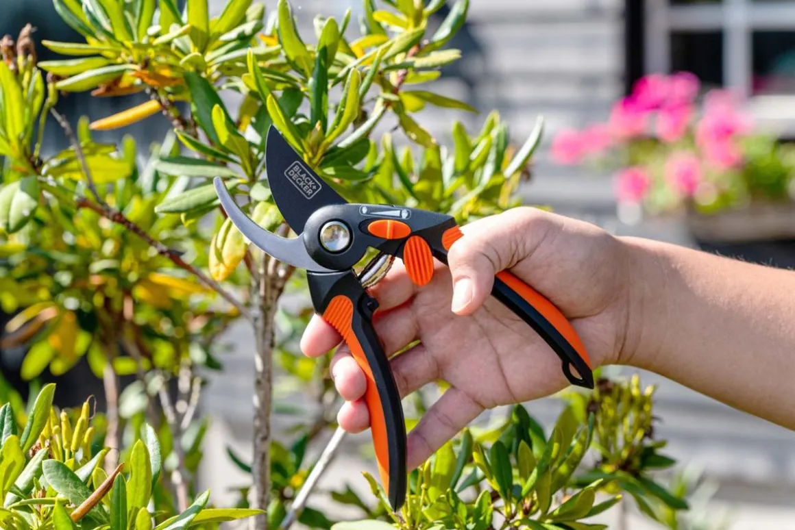 Gartenschere mit Antihaftbeschichtung 21.5 cm
