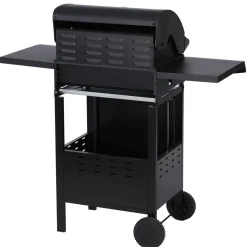 Gasgrill ARGON 3 Brenner