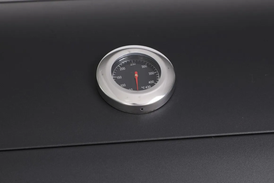 Gasgrill WEGA 3 Brenner