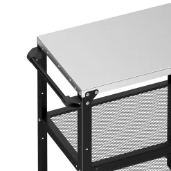 Grill Beistelltisch 72 x 41 x 79 cm schwarz/silber