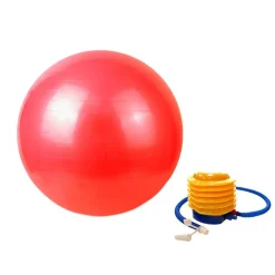 Gymnastikball 65 cm rot mit Pumpe