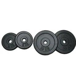 Hantelscheiben Gusseisen 2 x 10 kg + 2 x 5 kg
