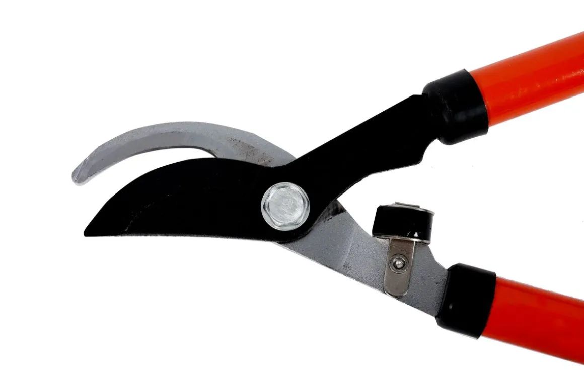 Heckenschere Teleskopgriff 56 - 82 cm