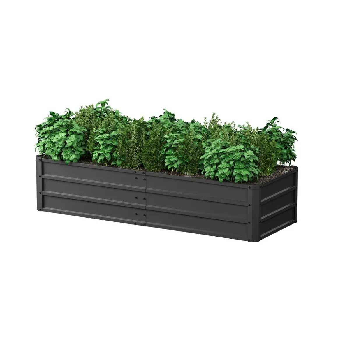 Hochbeet Stahl 160 x 60 x 35 cm