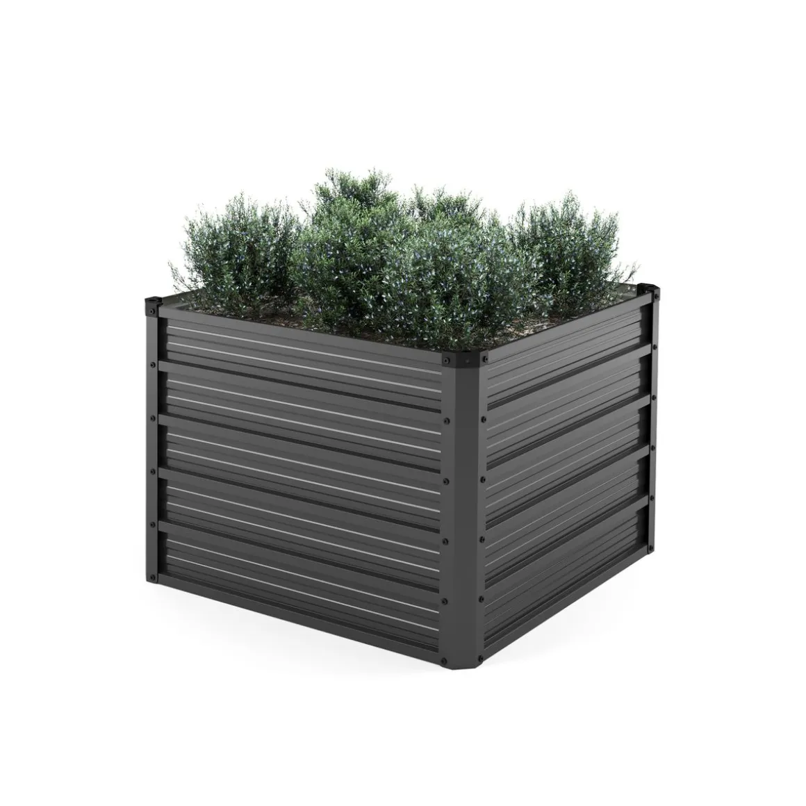 Hochbeet Stahl 80 x 80 x 57 cm