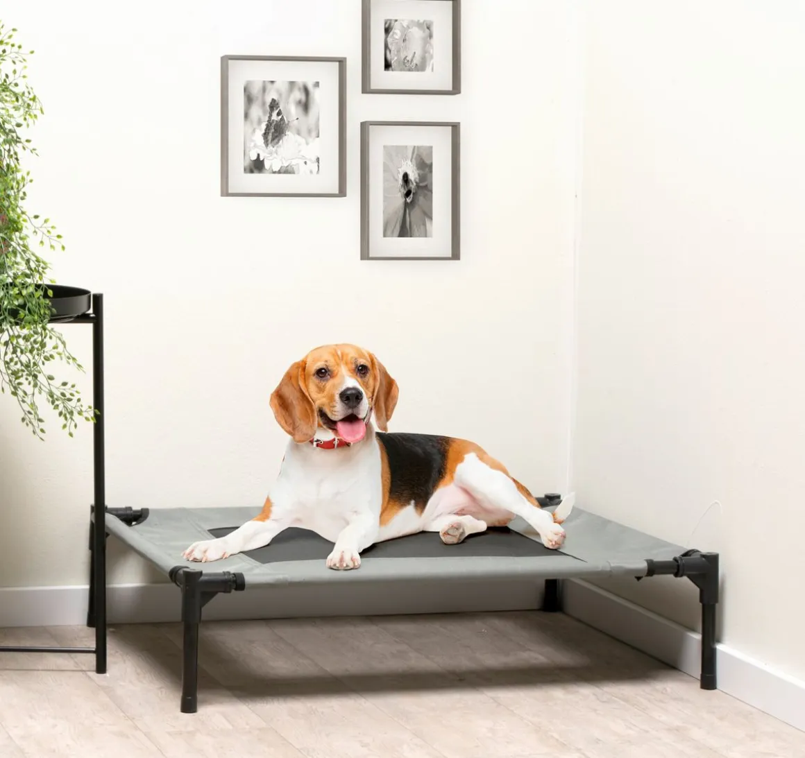 Hundebett erhöht M grau/schwarz