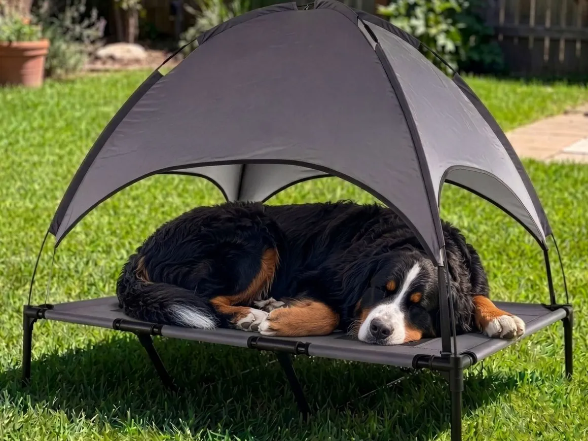 Hundebett Katzenbett erhöht mit Sonnendach XL anthrazit/schwarz