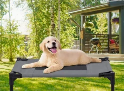 Hundebett Katzenbett erhöht S grau/schwarz