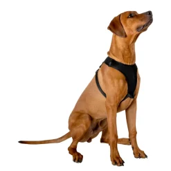 Hundegeschirr Grösse L
