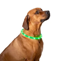 Hundehalsband LED Ø 23 cm