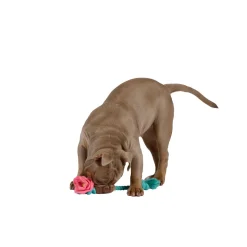 Hundespielzeug Blume 36 cm