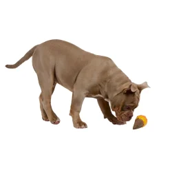 Hundespielzeug Eiswaffel 7 x 14 cm bunt