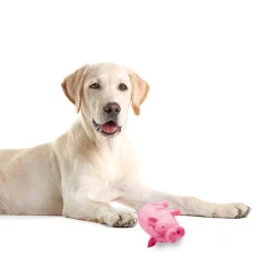 Hundespielzeug Gummischwein 20 cm