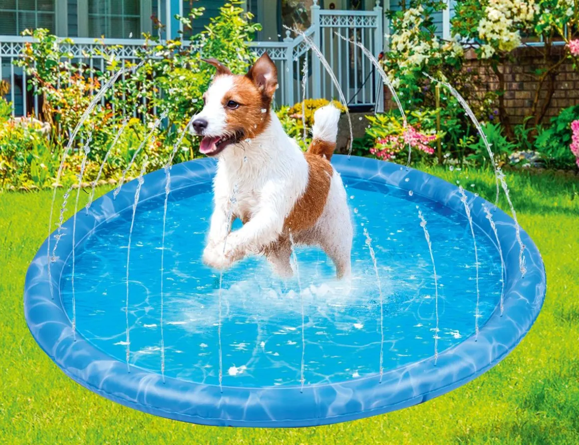 Hundespielzeug Sprinkler Matte 100 cm