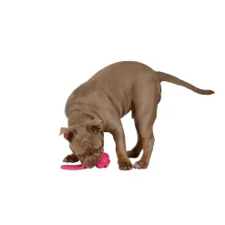Hundespielzeug Tau Neon 22 cm