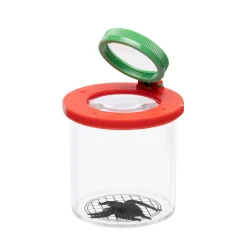 Insekten Beobachtungsbox mit Spinne