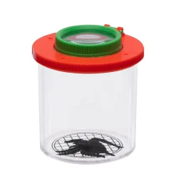 Insekten Beobachtungsbox mit Spinne