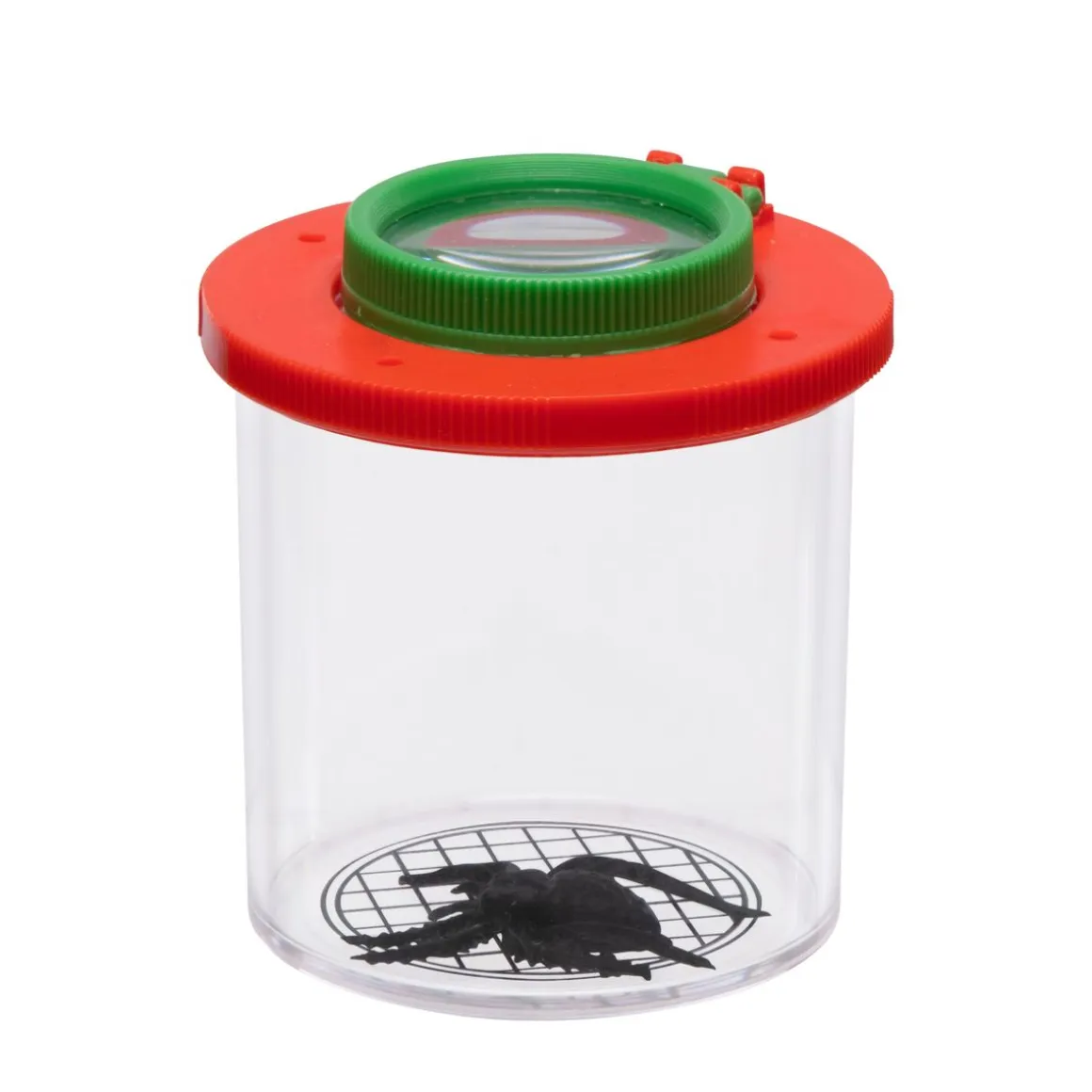 Insekten Beobachtungsbox mit Spinne