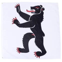Kantonsflagge Appenzell Innerrhoden 120 x 120 cm