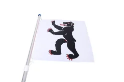 Kantonsflagge Appenzell Innerrhoden 120 x 120 cm