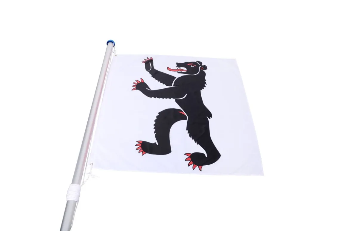 Kantonsflagge Appenzell Innerrhoden 120 x 120 cm
