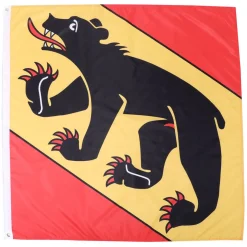 Kantonsflagge Bern 120 x 120 cm