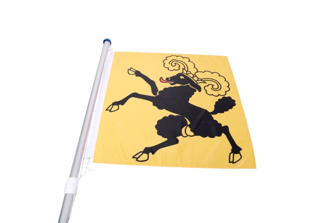 Kantonsflagge Schaffhausen 120 x 120 cm