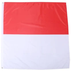 Kantonsflagge Solothurn 120 x 120 cm