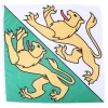 Kantonsflagge Thurgau 120 x 120 cm