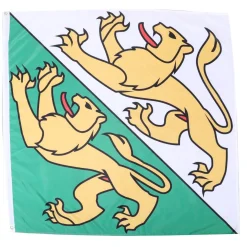 Kantonsflagge Thurgau 120 x 120 cm