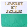 Kantonsflagge Waadt 120 x 120 cm
