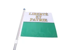 Kantonsflagge Waadt 120 x 120 cm