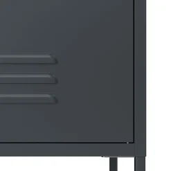 Kommode Metall KLAUS 2 Schubladen 2 Türen 80 x 101 cm anthrazit