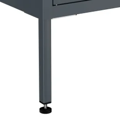 Kommode Metall KLAUS 2 Schubladen 2 Türen 80 x 101 cm anthrazit
