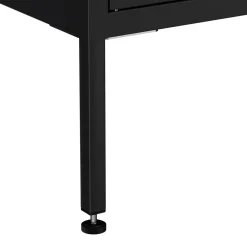 Kommode Metall KLAUS 2 Schubladen 2 Türen 80 x 101 cm schwarz