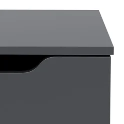 Kommode SENA 4 Schubladen 2 Türen 122 x 92 cm anthrazit | GONSER.CH