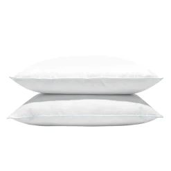 Kopfkissen SWAN 50 x 70 cm 2er Set weiss