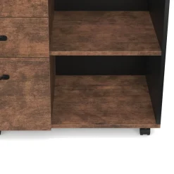 Korpus Aktenschrank Vintage BONITA mit 3 Schubladen und 2 Fächern