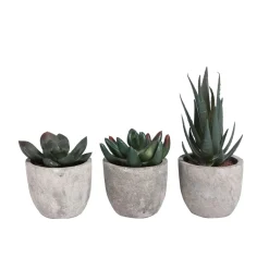 Kunstpflanzen Sukkulenten 3er Set
