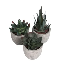 Kunstpflanzen Sukkulenten 3er Set