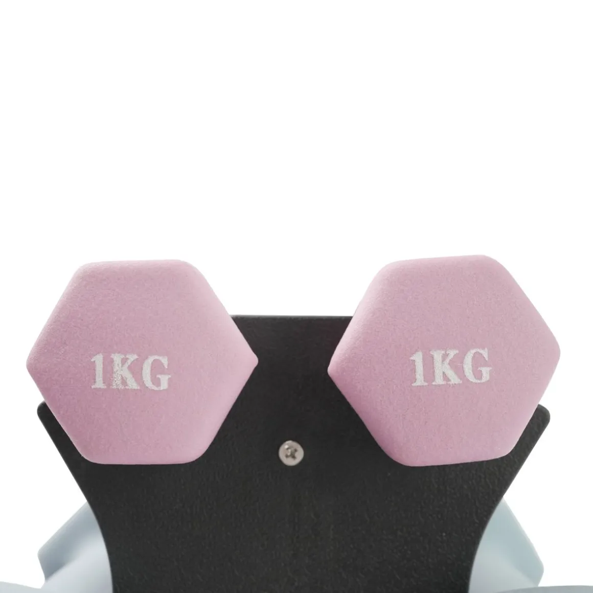 Kurzhantel Set 1 - 3 kg mit Ständer