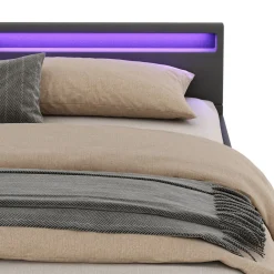Lederbett LED LUNARA 240 x 200 cm anthrazit
