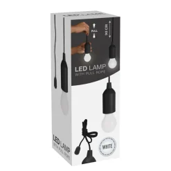 LED Hängelampe mit Zugschalter schwarz | GONSER.CH