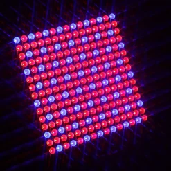 LED Pflanzenlampe 31 x 31 cm rot/blau